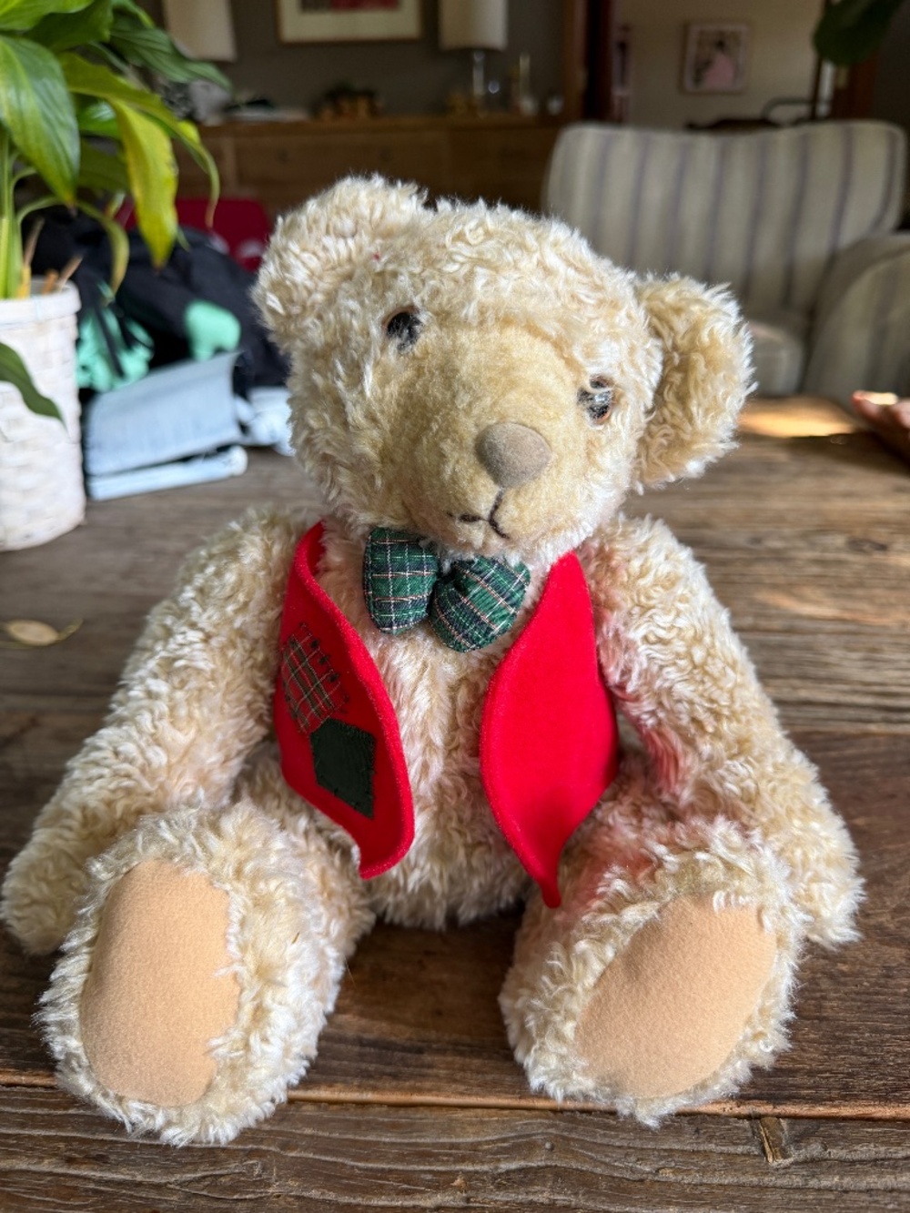 Hallmark Tyler Teddy Bear from 1995 dressed for Christmas